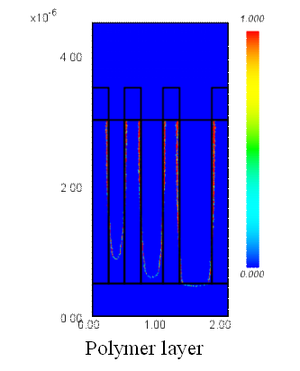 Polymer layer （T=240 [s] ）